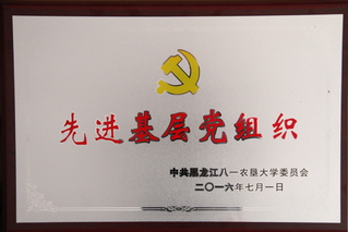 4118云顶集团先进基层党组...