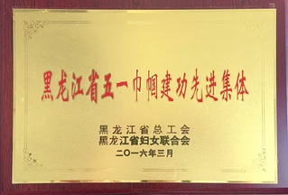 黑龙江省五一巾帼建功先进集体